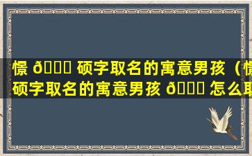 憬 🐕 硕字取名的寓意男孩（憬硕字取名的寓意男孩 🐒 怎么取）